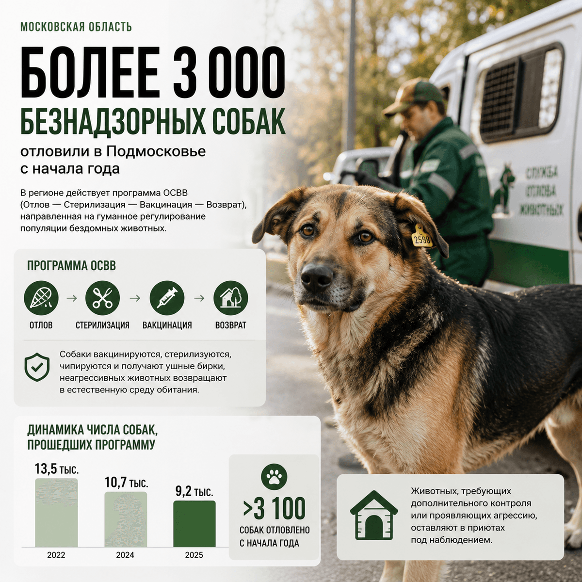 В Подмосковье с начала года отловили более трёх тысяч безнадзорных собак